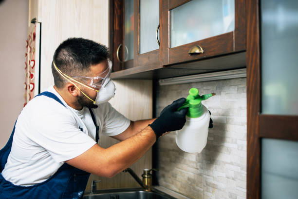 Pest Prevention Services in Somerton, AZ