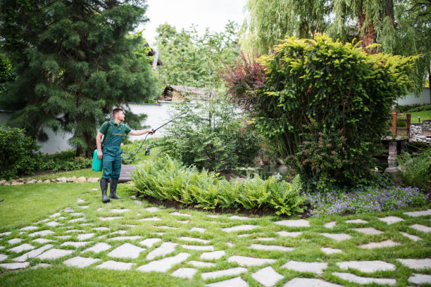 Best Pest Prevention Services  in Somerton, AZ