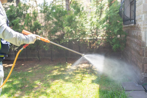 Best Pest Prevention Services  in Somerton, AZ