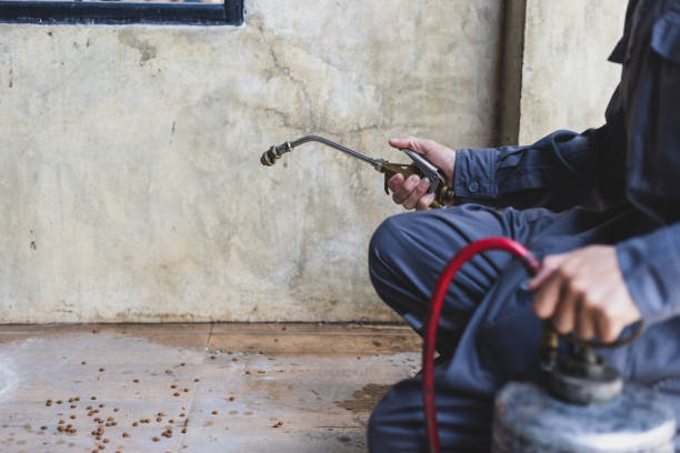  Somerton, AZ Pest Control Pros